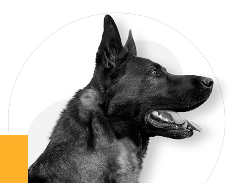 Unidad canina K9